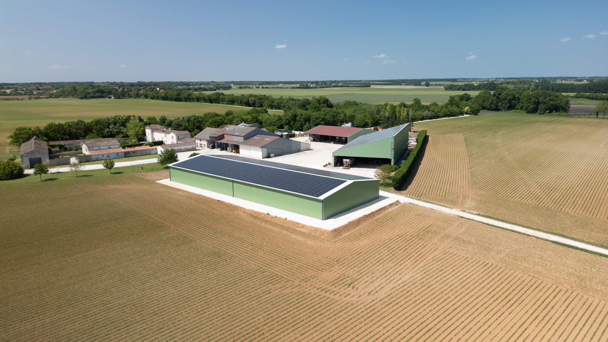 DJI_0223